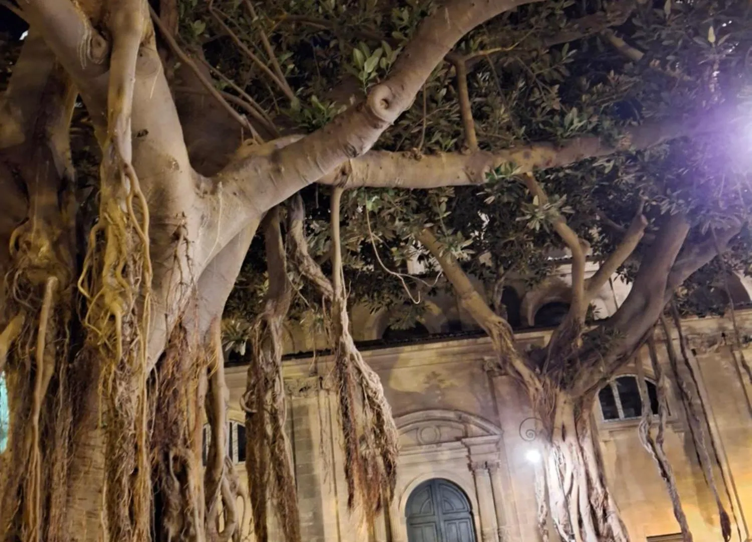 רגוזה Villa Elisir 0*,  איטליה